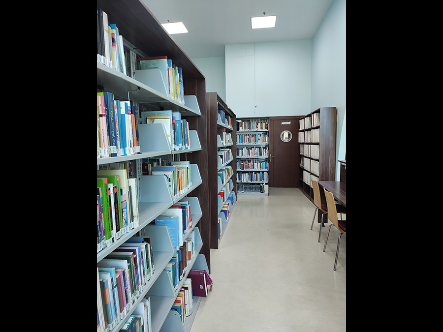 جامعة إسطنبول يني يوزيل-İSTANBUL YENİ YÜZYIL ÜNİVERSİTESİ