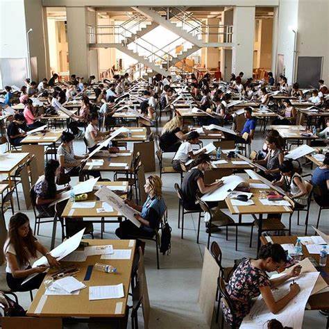 MİMAR SİNAN GÜZEL SANATLAR ÜNİVERSİTESİ - جامعة المعمار سنان للفنون الجميلة