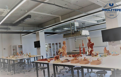 جامعة إزمير تينازتيبه -  İZMİR TINAZTEPE ÜNİVERSİTESİ