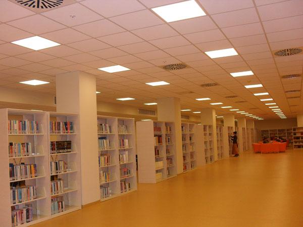 جامعة إسطنبول أوكان- İSTANBUL OKAN ÜNİVERSİTESİ