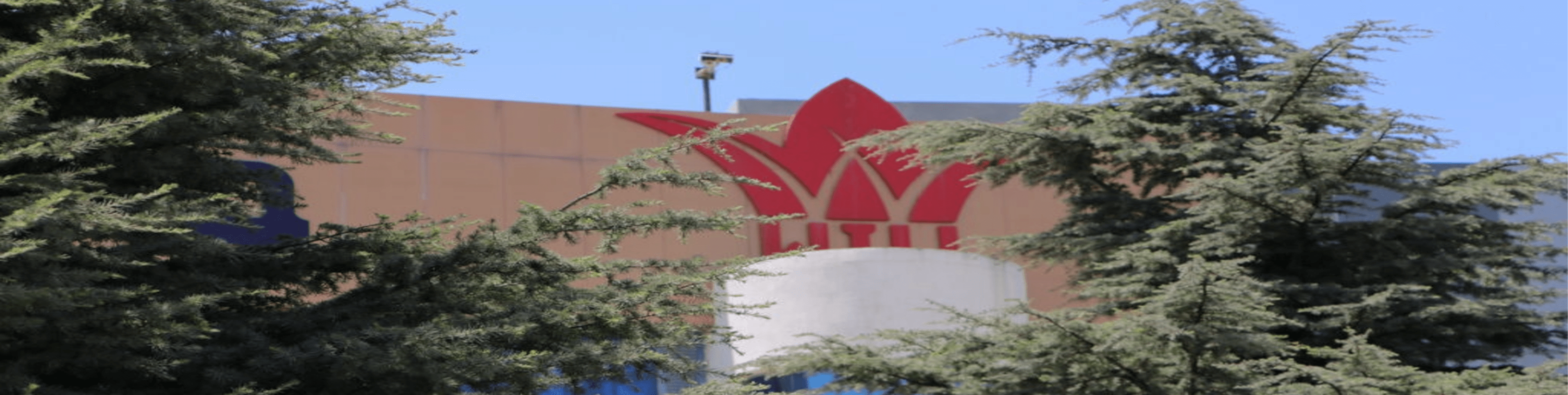 جامعة الوادي الدولية الخاصة