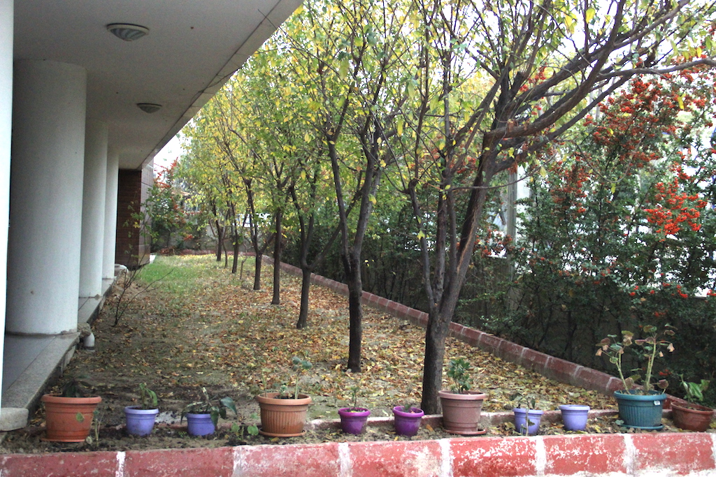 Şehit Ayşe Aykaç Yükseköğretim Kız Öğrenci Yurdu