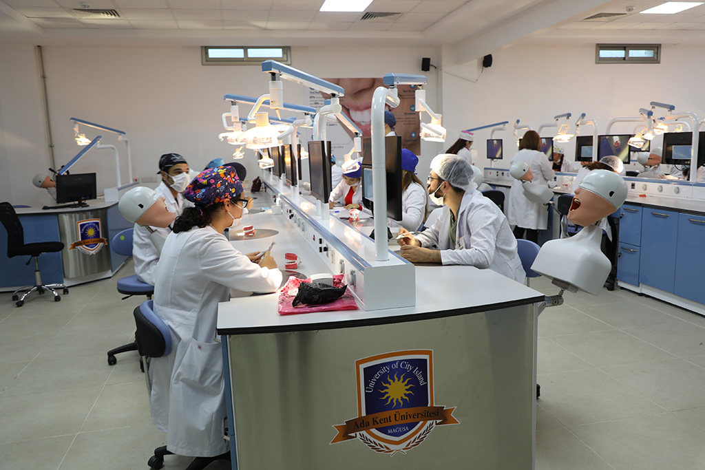 جامعة إسطنبول كينت-İSTANBUL KENT ÜNİVERSİTESİ  