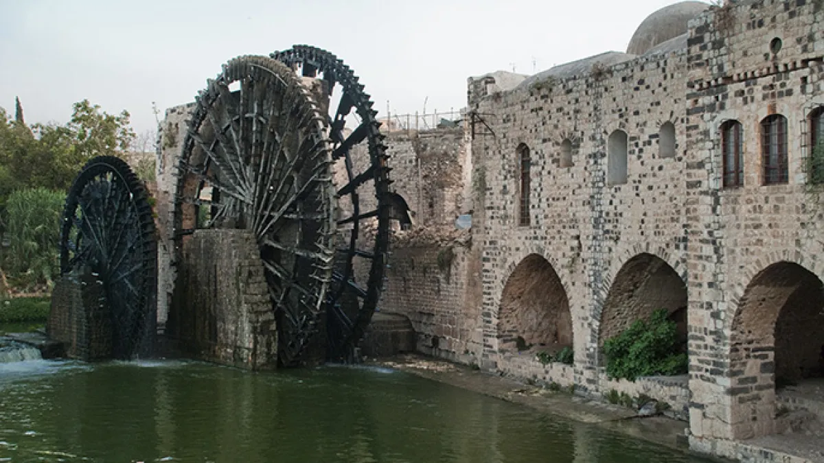 حماه