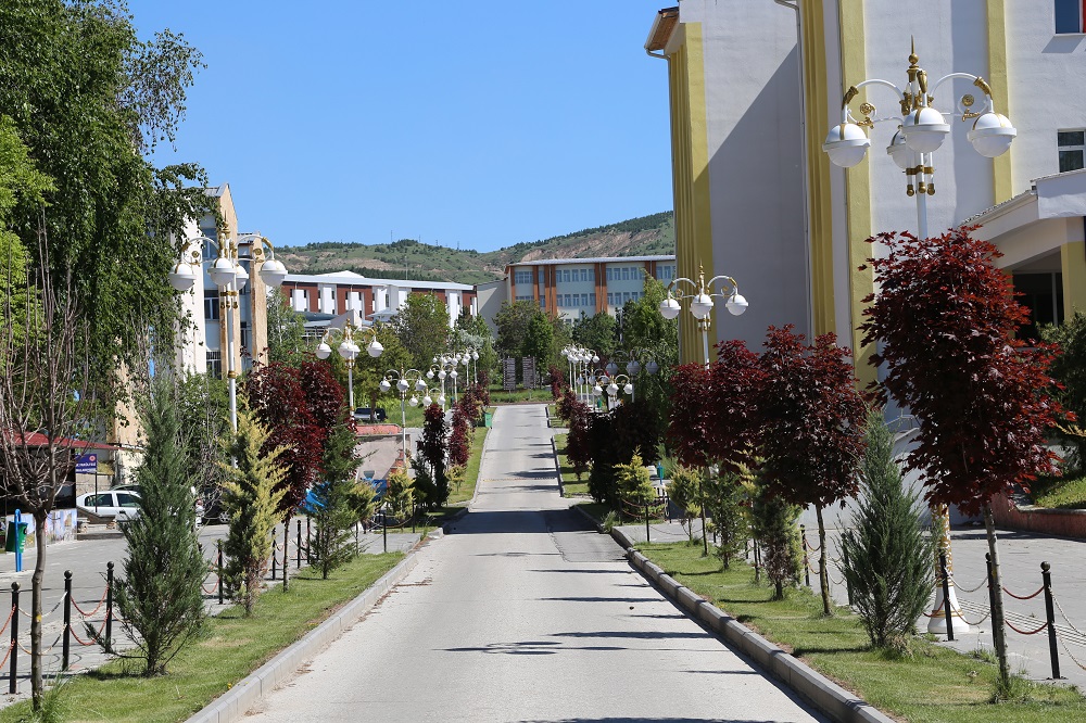 جامعة سيواس جمهوريات - SİVAS CUMHURİYET ÜNİVERSİTESİ