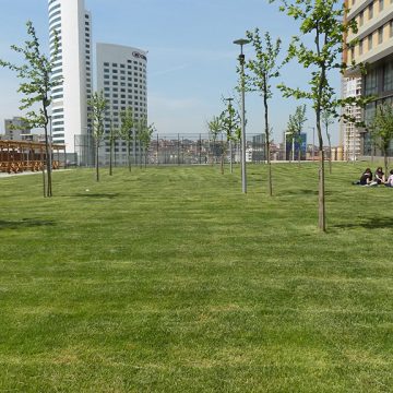 TÜRKİYE DİYANET VAKFI İSTANBUL 29 MAYIS ÜNİVERSİTESİ YÜKSEKÖĞRENİM KIZ ÖĞRENCİ YURDU