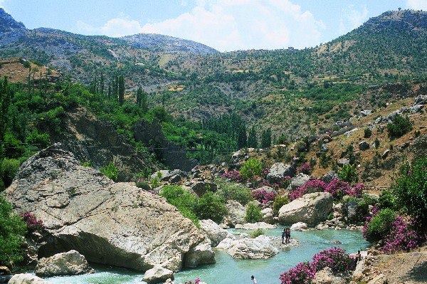 أديامان