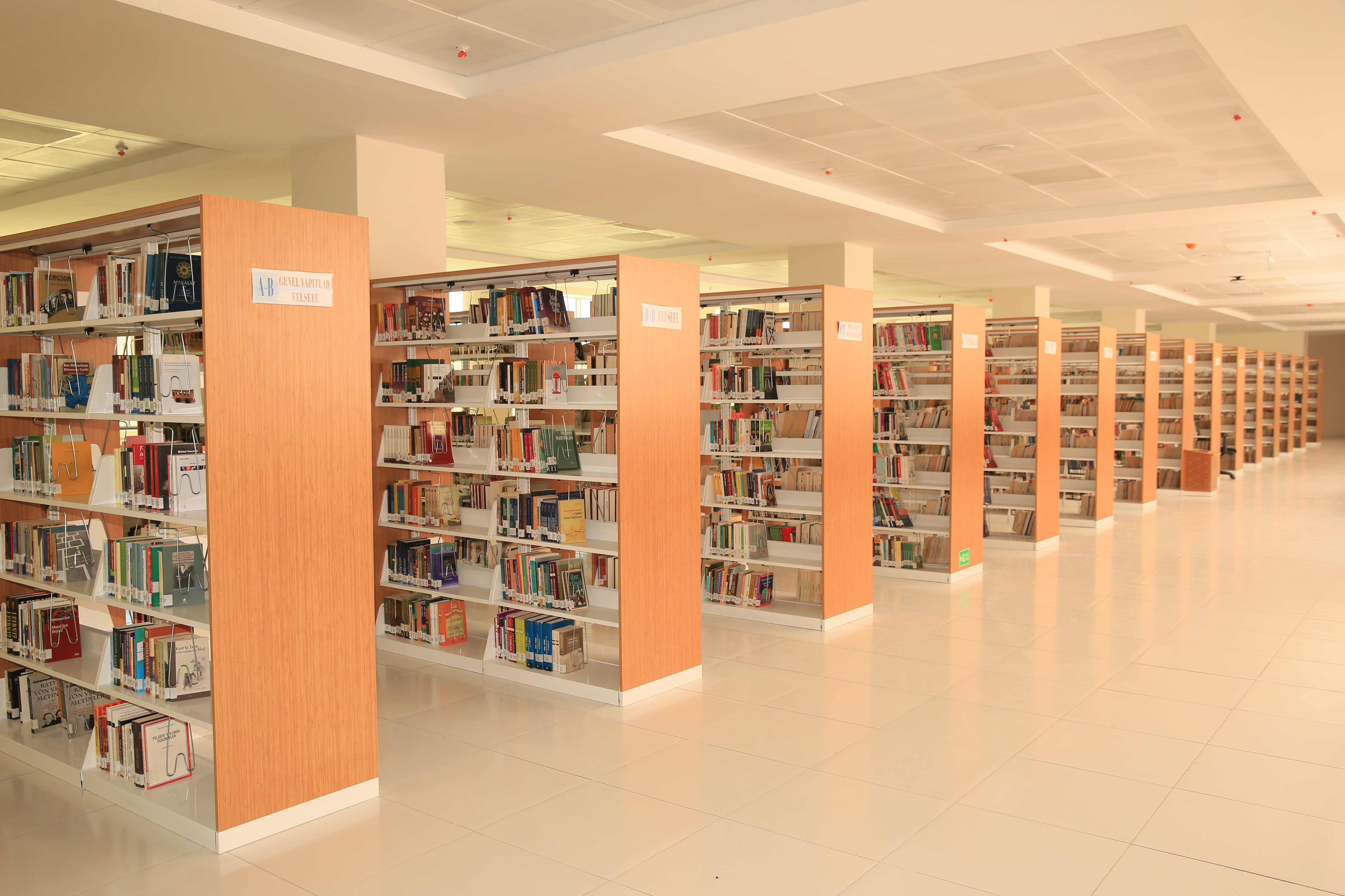 جامعة بايبورت - Bayburt Üniversitesi