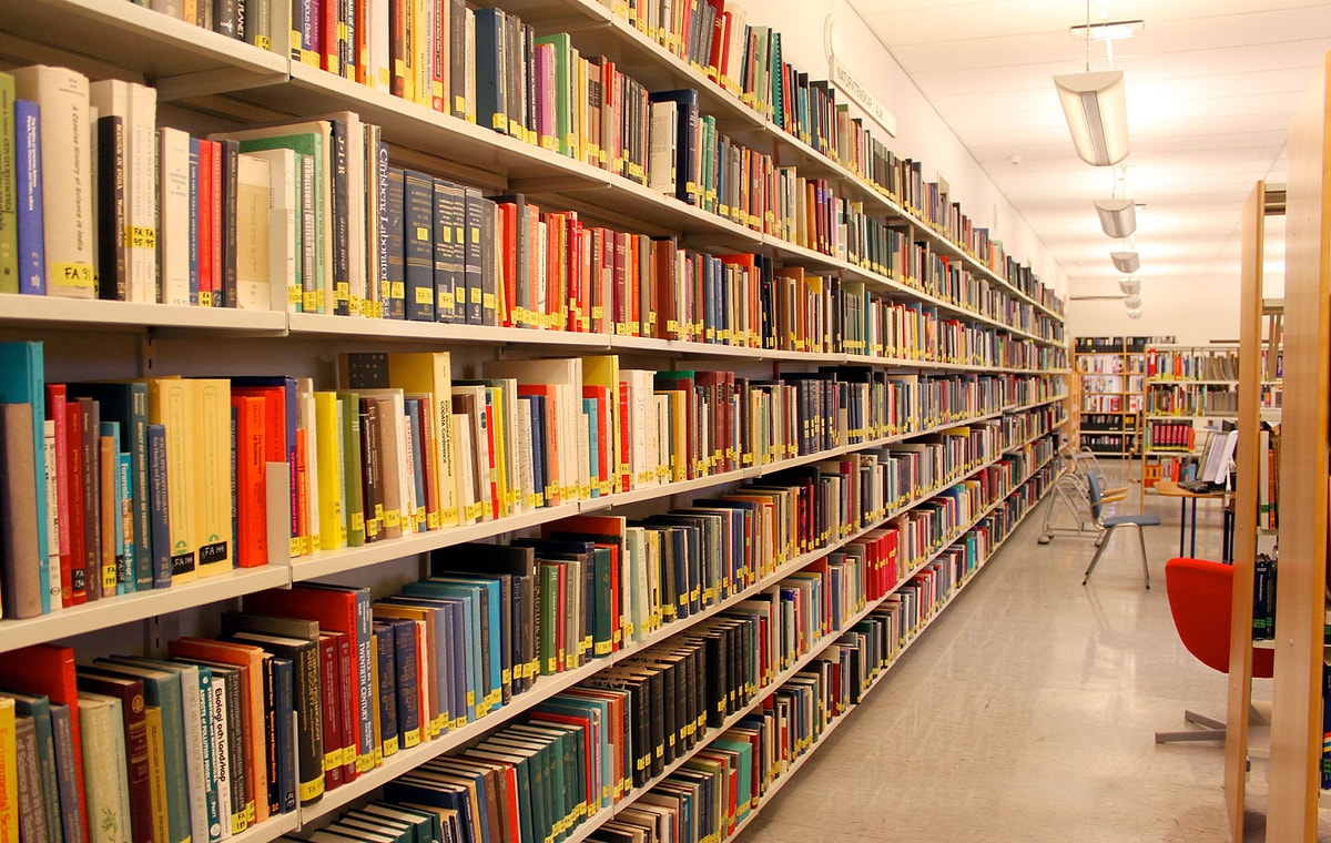  جامعة إسطنبول إسنيورت-İSTANBUL ESENYURT ÜNİVERSİTESi
