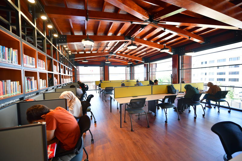 جامعة إسطنبول - جراح باشا - İSTANBUL ÜNİVERSİTESİ-CERRAHPAŞA