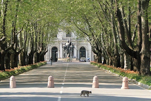 جامعة إسطنبول-İSTANBUL ÜNİVERSİTESİ 
