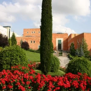 جامعة يدي تبه-Yeditepe Üniversitesi