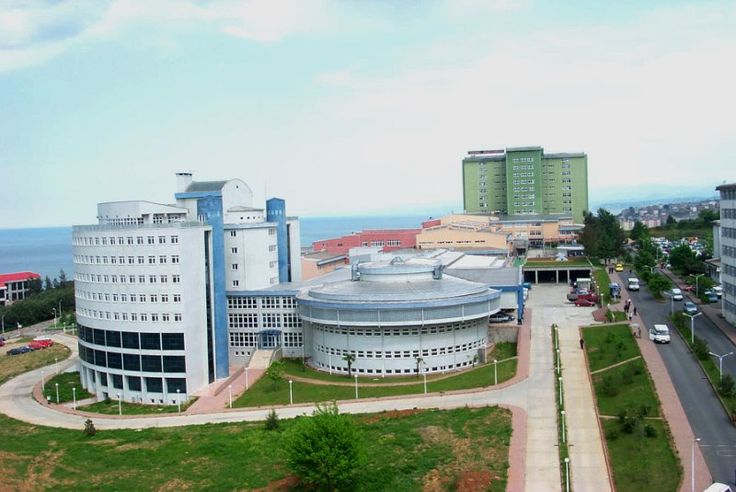 جامعة كارادينيز التقنية - Karadeniz Teknik Üniversitesi