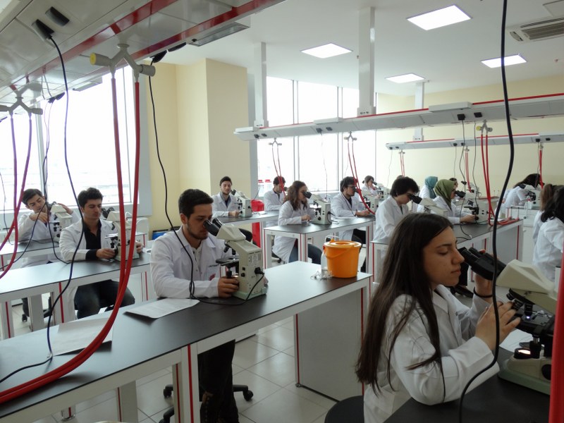 جامعة إسطنبول يني يوزيل-İSTANBUL YENİ YÜZYIL ÜNİVERSİTESİ